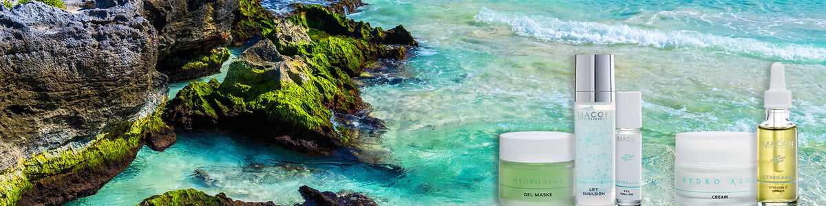 Tiegel mit Hydro Alga Creme vor einem Hintergrund mit Unterwasser-Algenlandschaft.